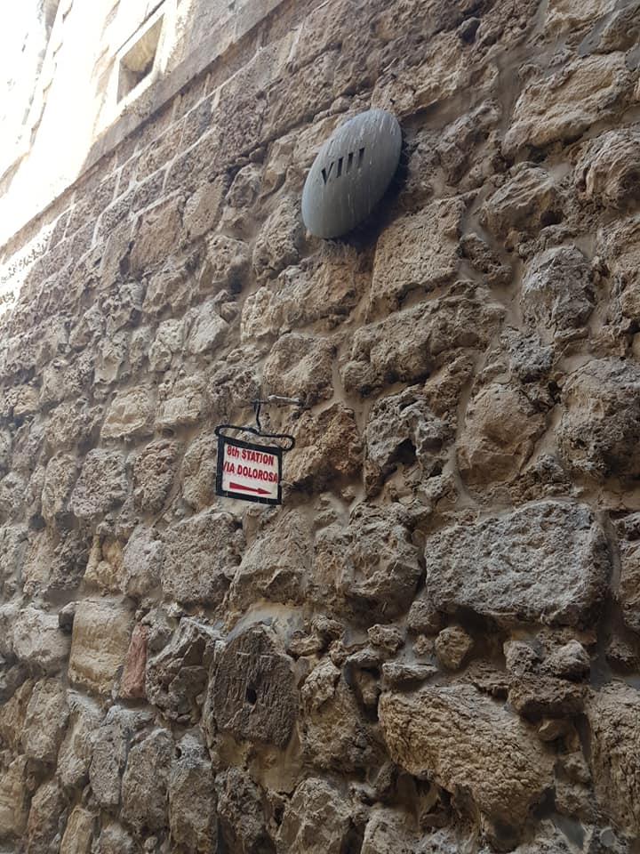 35550036_10217099586580538_6683420178631360512_n