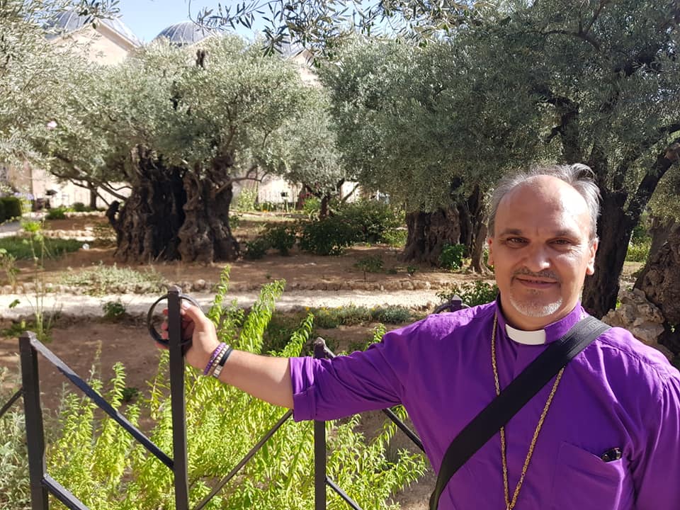 35731692_10217099590220629_1423406063733964800_n