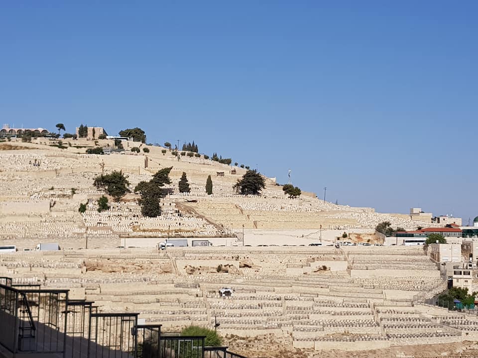 35849067_10217137349444586_2038581226041769984_n