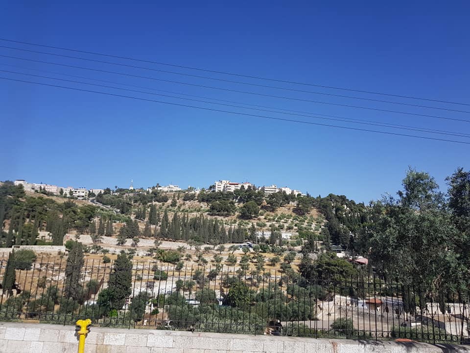 36062948_10217137347844546_6480473383233388544_n