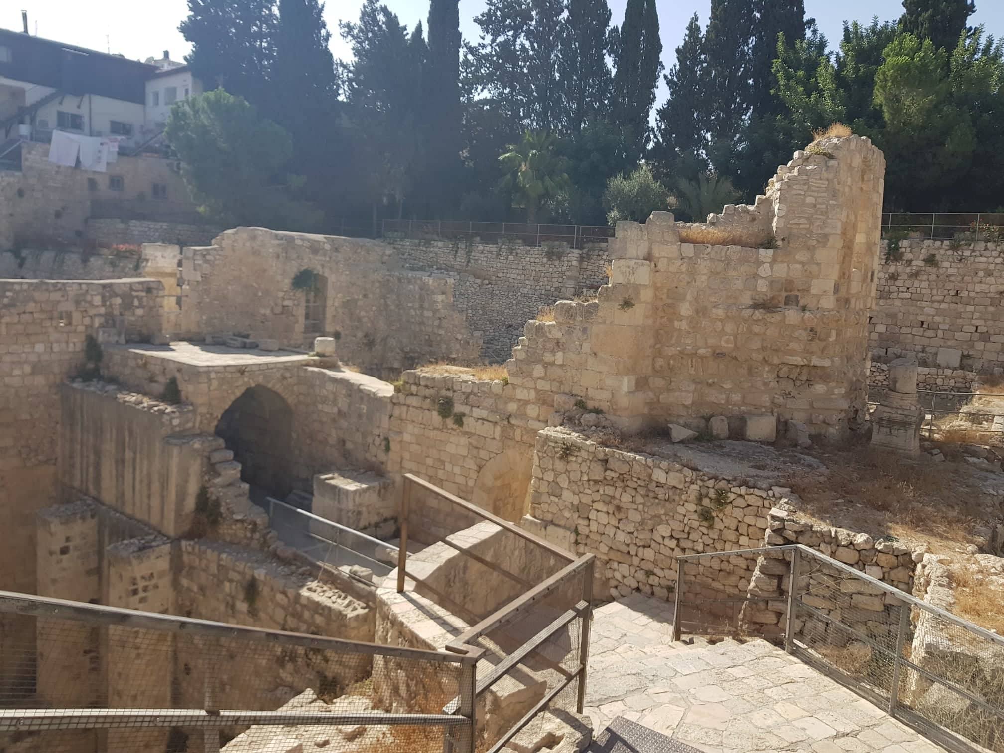 36114268_10217163114648700_5956977089587445760_n