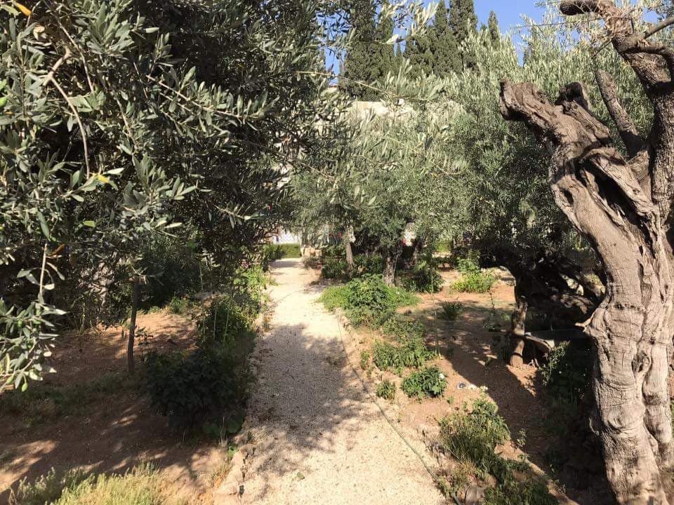 36223105_10217163084207939_4256616613891014656_n