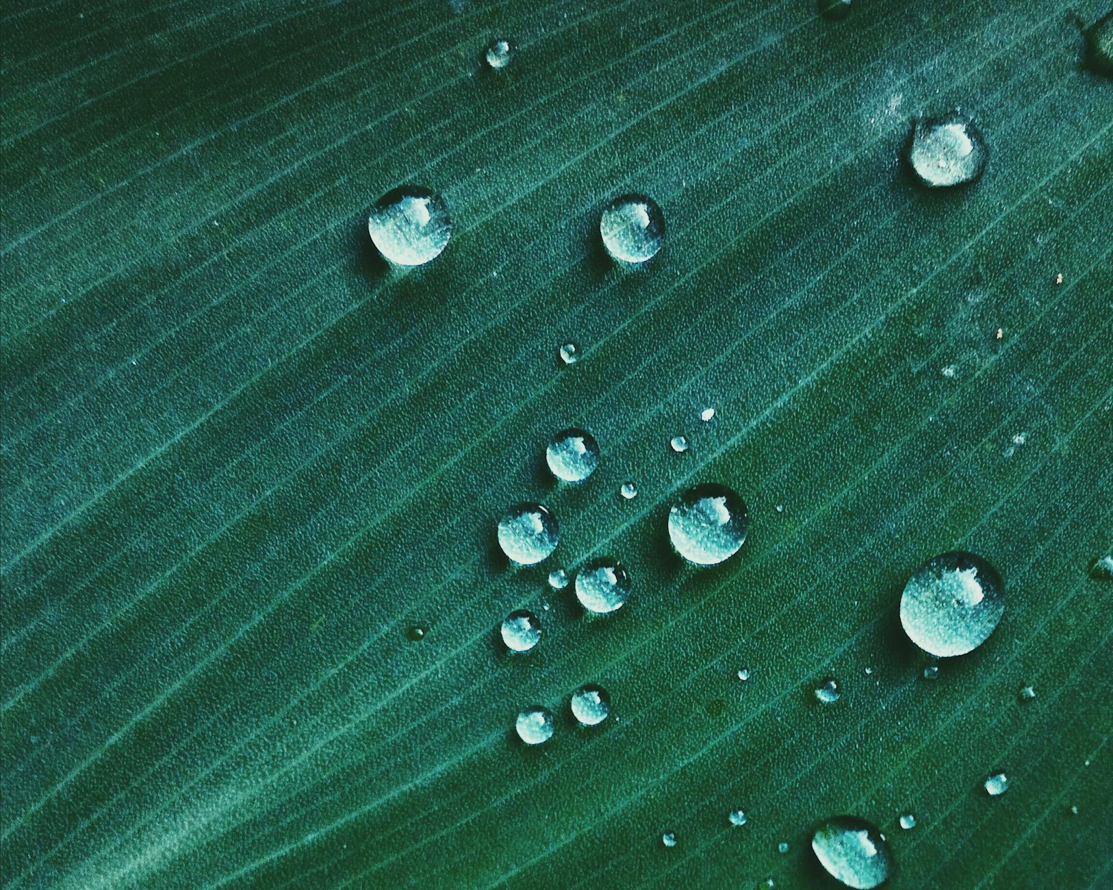 macro shot of water drop on green textile