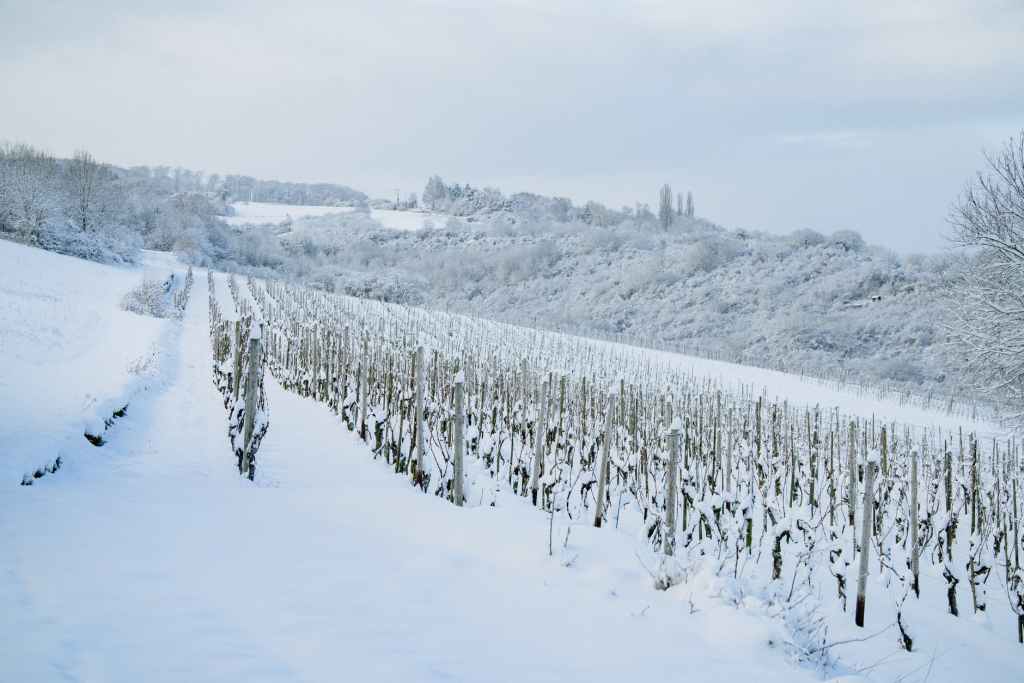 snowy countryside with field in winter day