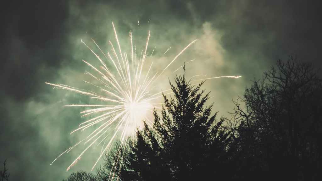 fireworks display above trees