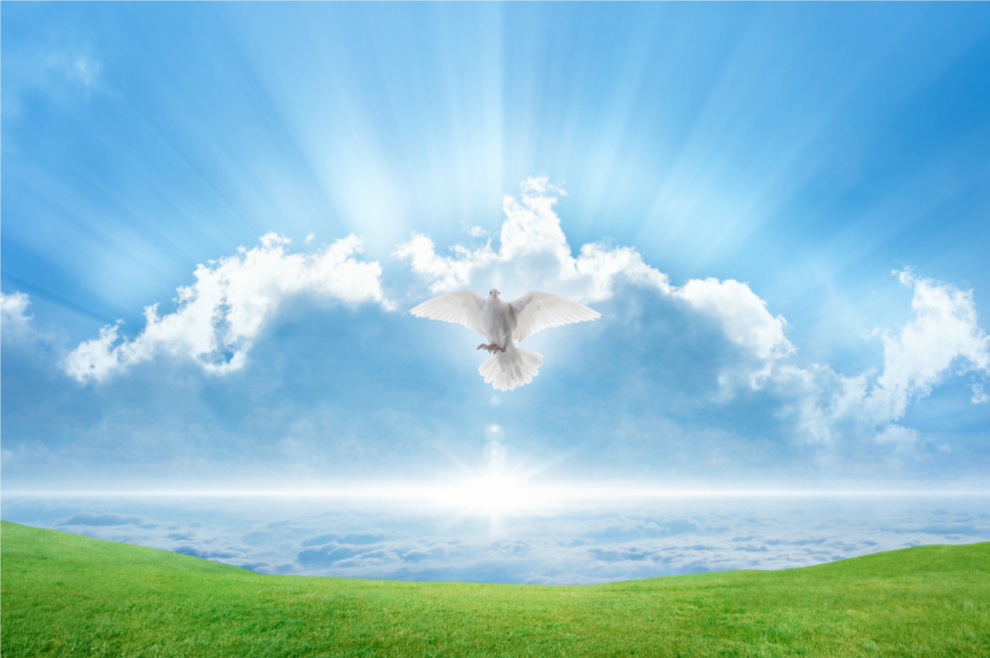 Vjerujem u Duha Svetoga