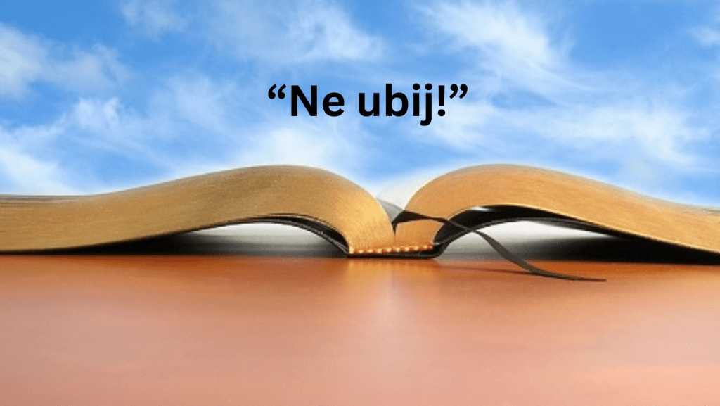 Šesta Božja zapovijed