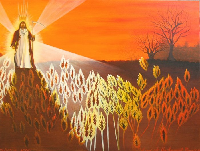 Prispodoba i žitu i kukolju