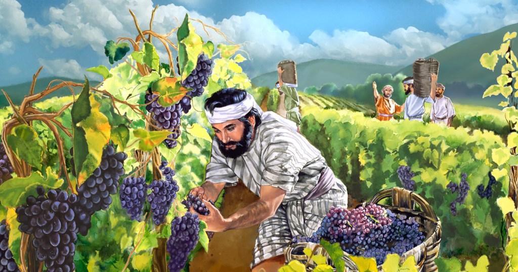 Prispodoba o radnicma u vinogradu